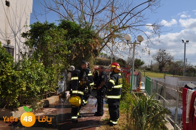 fireshekonatelarab (18).JPG